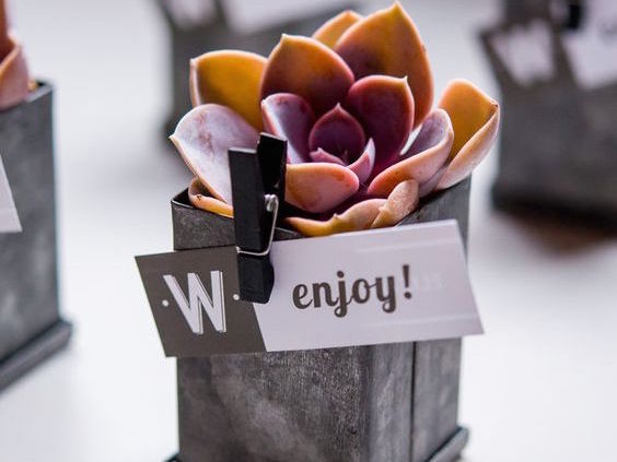 DIY wedding favors with succulents.