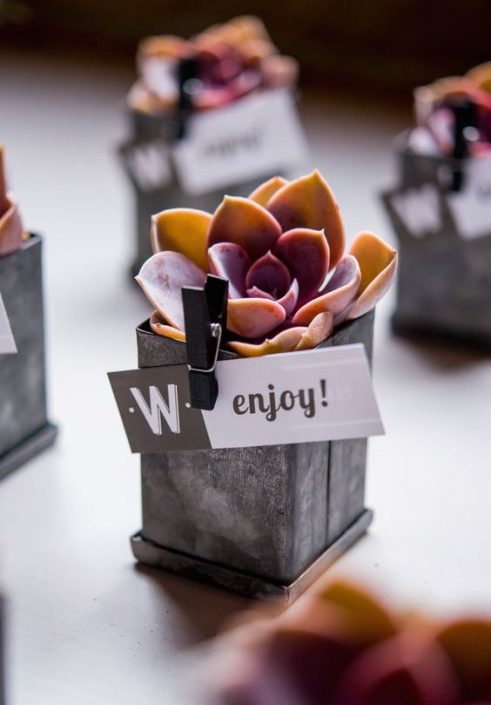 Favors & Gifts | Recuerdos & Regalos